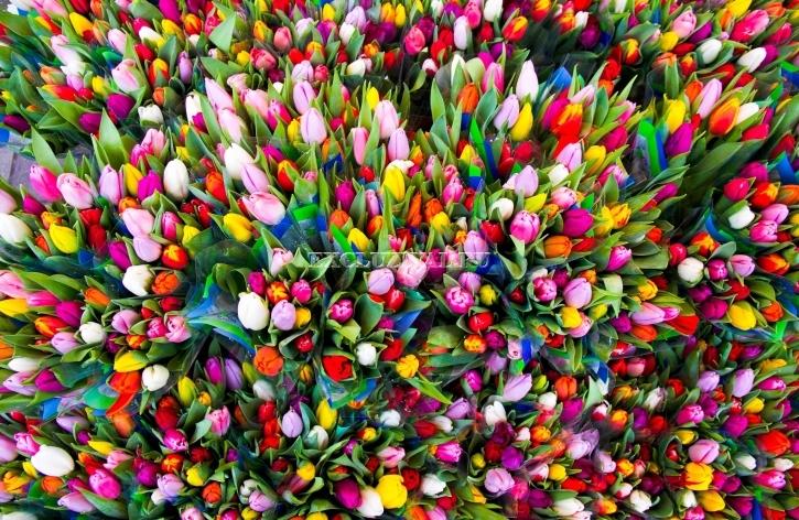Цветы к 8 Марта из Анталии в разные страны мира!