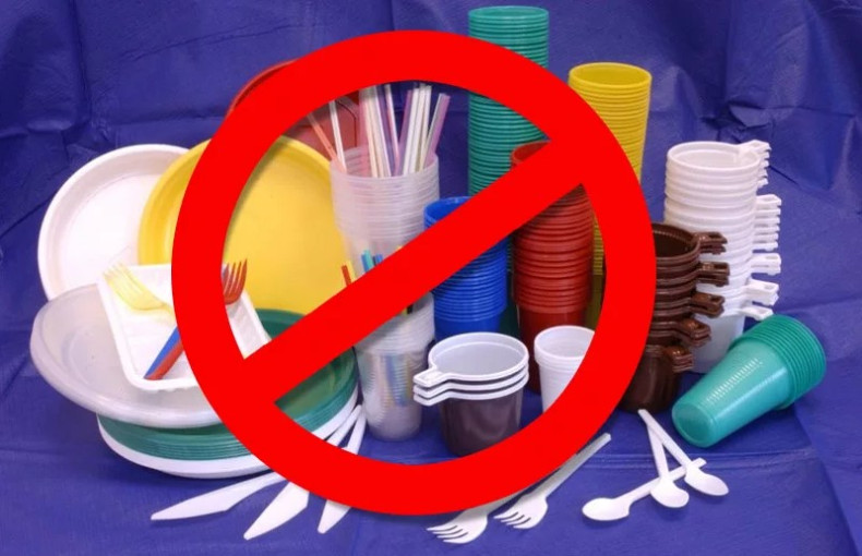 Турция готовит «зеленую реформу»: что изменится для бизнеса и туристов в 2026 году?